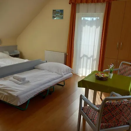 Gæstehus Foter Panzio Baja