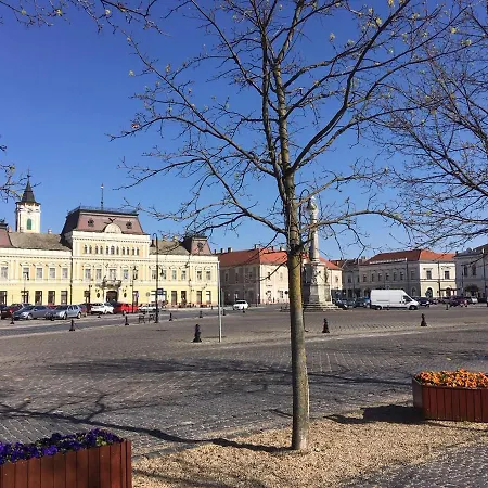 Gæstehus Foter Panzio Baja