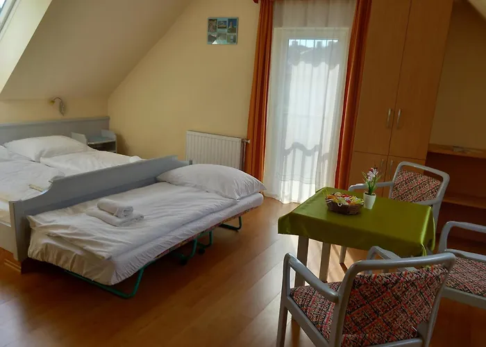 Pensionat Foter Panzio Baja