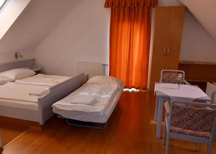 Pensionat Foter Panzio 3*